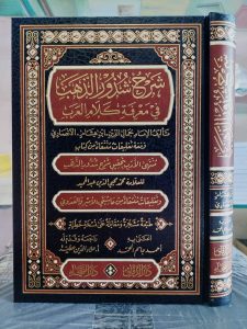 شرح شذور الذهب في معرفة كلام العرب مجلد – دار الفيحاء